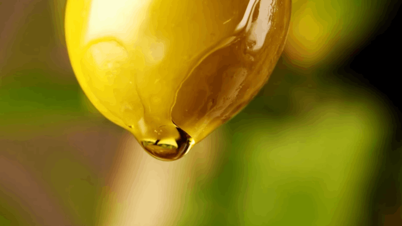 How to Take Hemp Oil for Cats