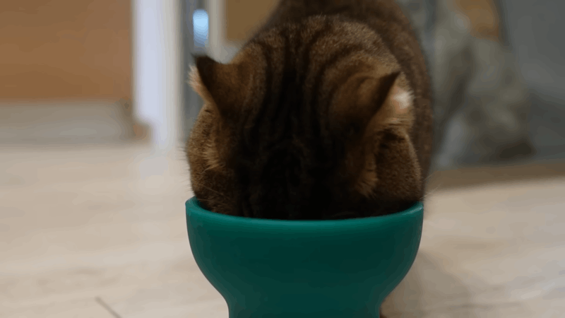 How to Use Hemp Oil for Pain